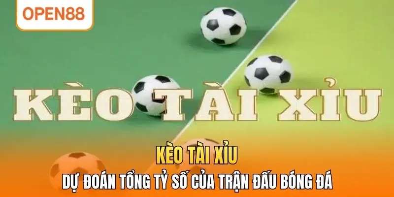 Kèo tài xỉu - Dự đoán tổng tỷ số của trận đấu bóng đá 
